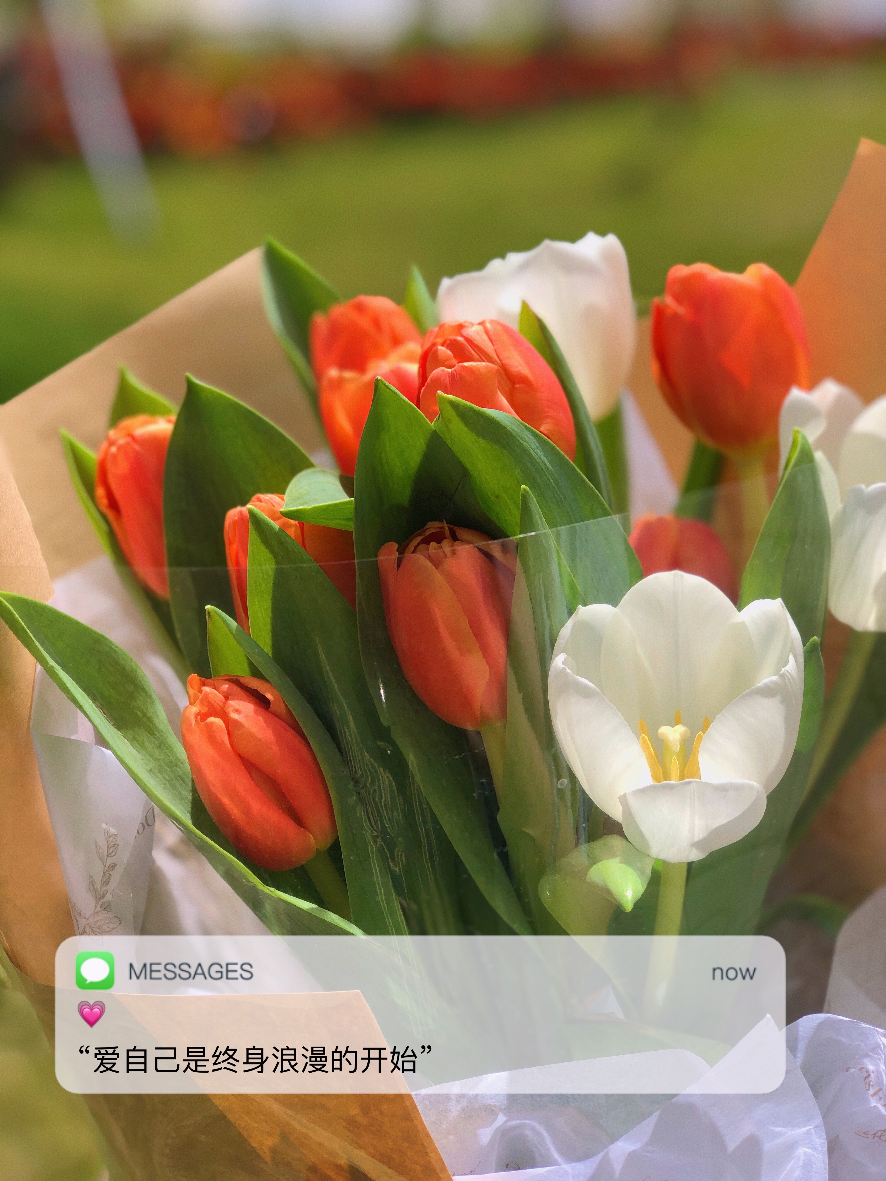 微信圖片_20220308123033.jpg 微信圖片_20220308123033.jpg